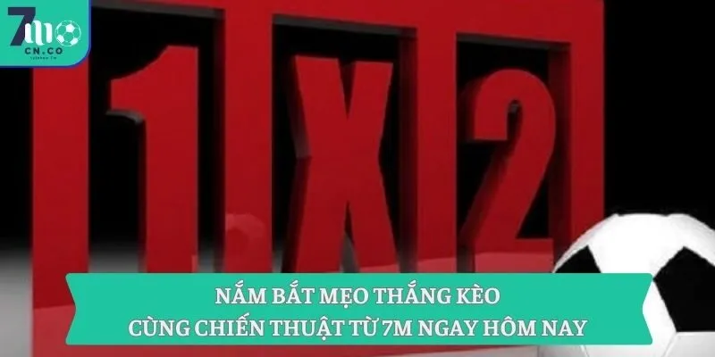 Nắm Bắt Mẹo Thắng Kèo Cùng Chiến Thuật Từ 7m Ngay Hôm Nay