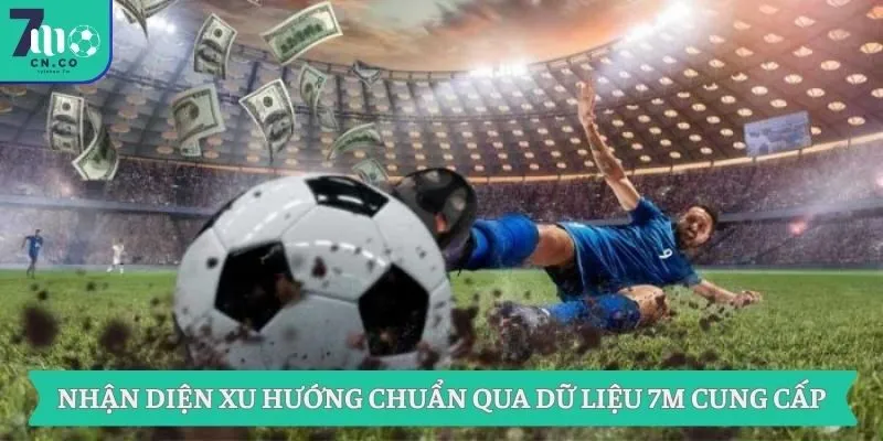 Nhận diện xu hướng chuẩn qua dữ liệu 7M cung cấp