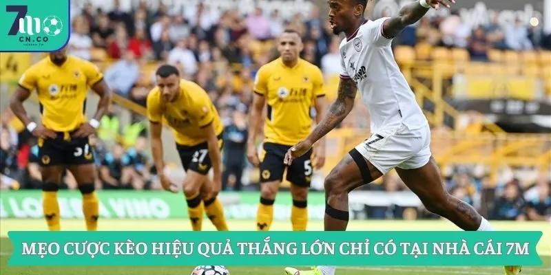 Mẹo Cược Kèo Hiệu Quả Thắng Lớn Chỉ Có Tại Nhà Cái 7m