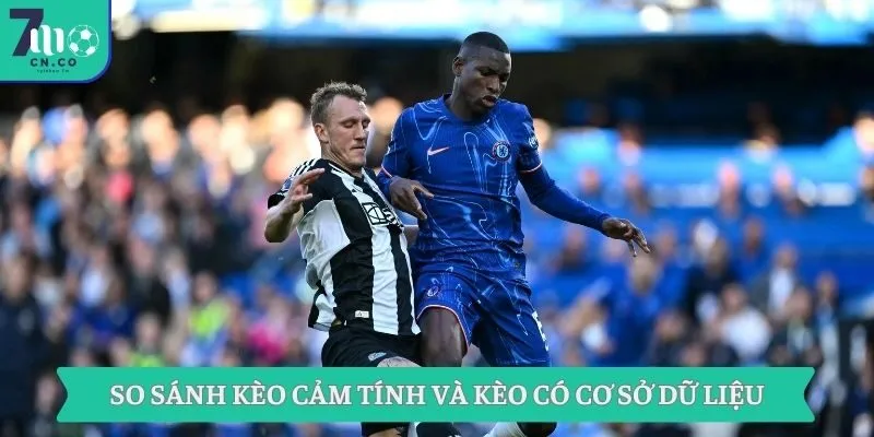 So sánh kèo cảm tính và kèo có cơ sở dữ liệu