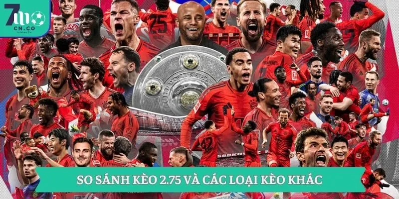 So sánh kèo 2.75 và các loại kèo khác