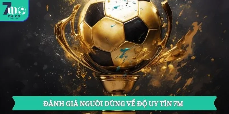 Đánh giá người dùng về độ uy tín 7M
